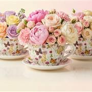 Blooming Tea Cup